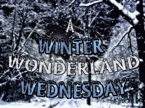 Winter Wonderland Wednesday 